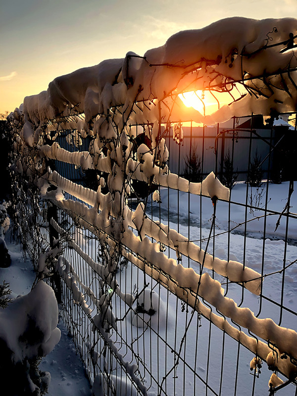 Фотографія Закат на заборе / Валерьян Бек / photographers.ua