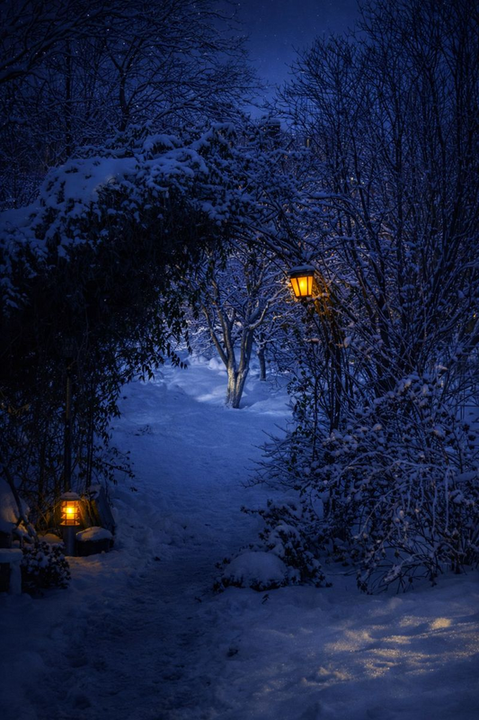 Фотографія "Портал" в сад / Валерьян Бек / photographers.ua