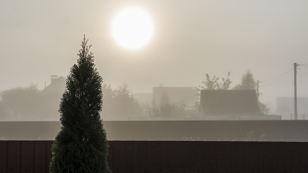 Фотографія Восход Солнца в тумане / Валерьян Бек / photographers.ua