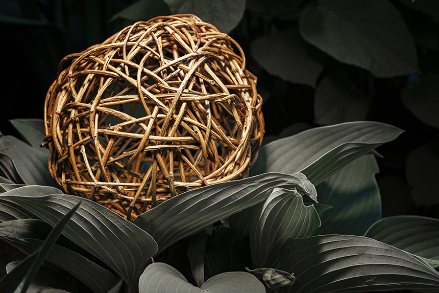 Фотографія Шар из лозы / Валерьян Бек / photographers.ua