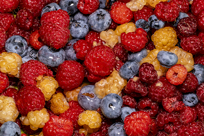 Фотографія Малиновая голубика / Валерьян Бек / photographers.ua