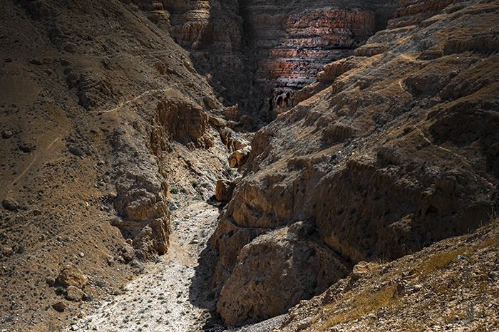 Фотографія Горными тропами / Валерьян Бек / photographers.ua