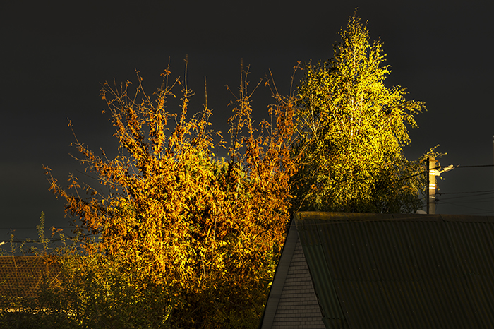 Фотографія Закатный час / Валерьян Бек / photographers.ua