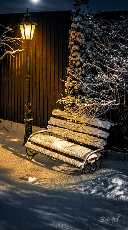 Фотографія Зимний вечер / Валерьян Бек / photographers.ua