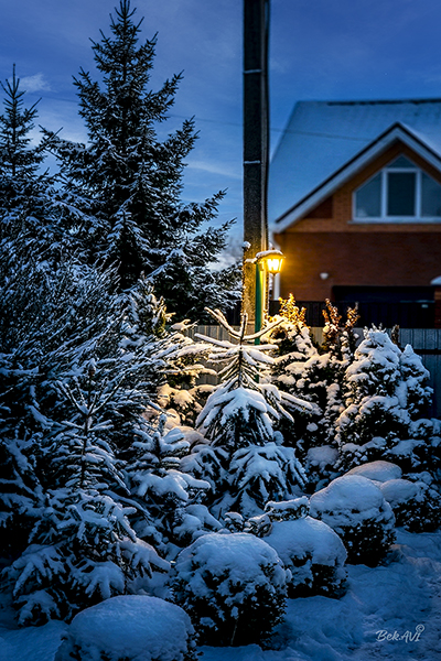 Фотографія Опять зима / Валерьян Бек / photographers.ua