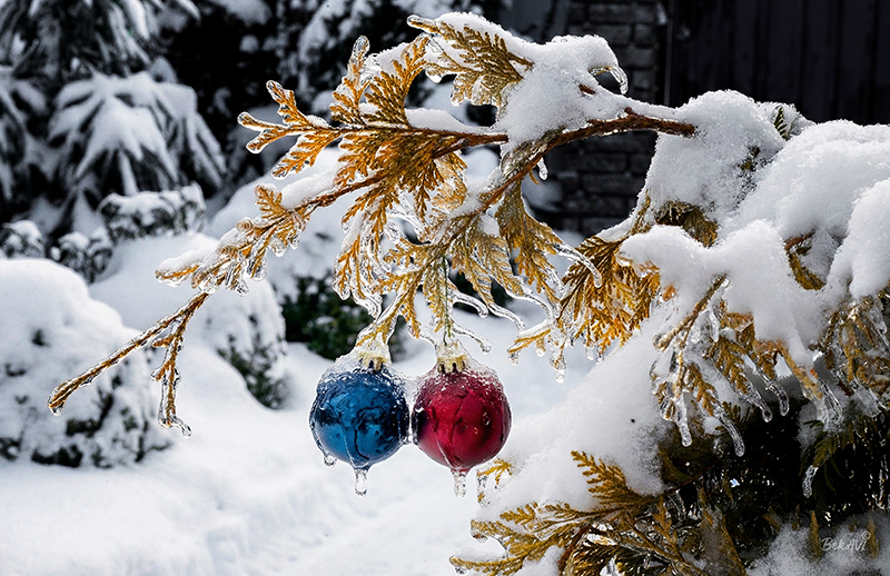 Фотографія Ледяные шары / Валерьян Бек / photographers.ua