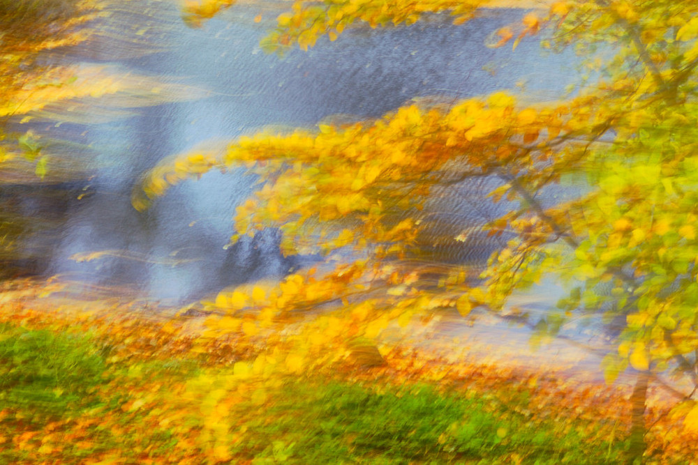 Фотографія Осенний сон (6) / Tom Vert / photographers.ua