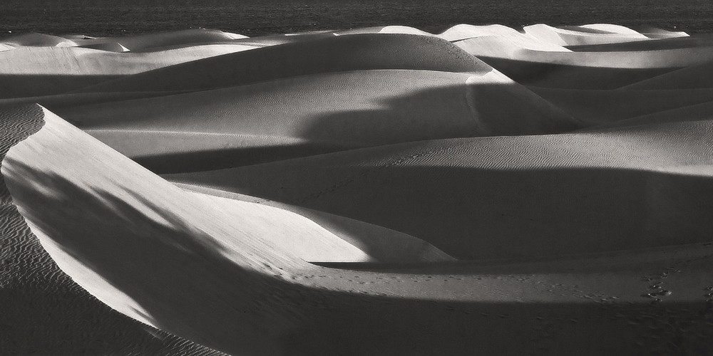 Фотографія Desert Rose IV / Tom Vert / photographers.ua