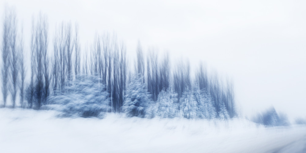 Фотографія Сновидіння зимове (4) / Tom Vert / photographers.ua