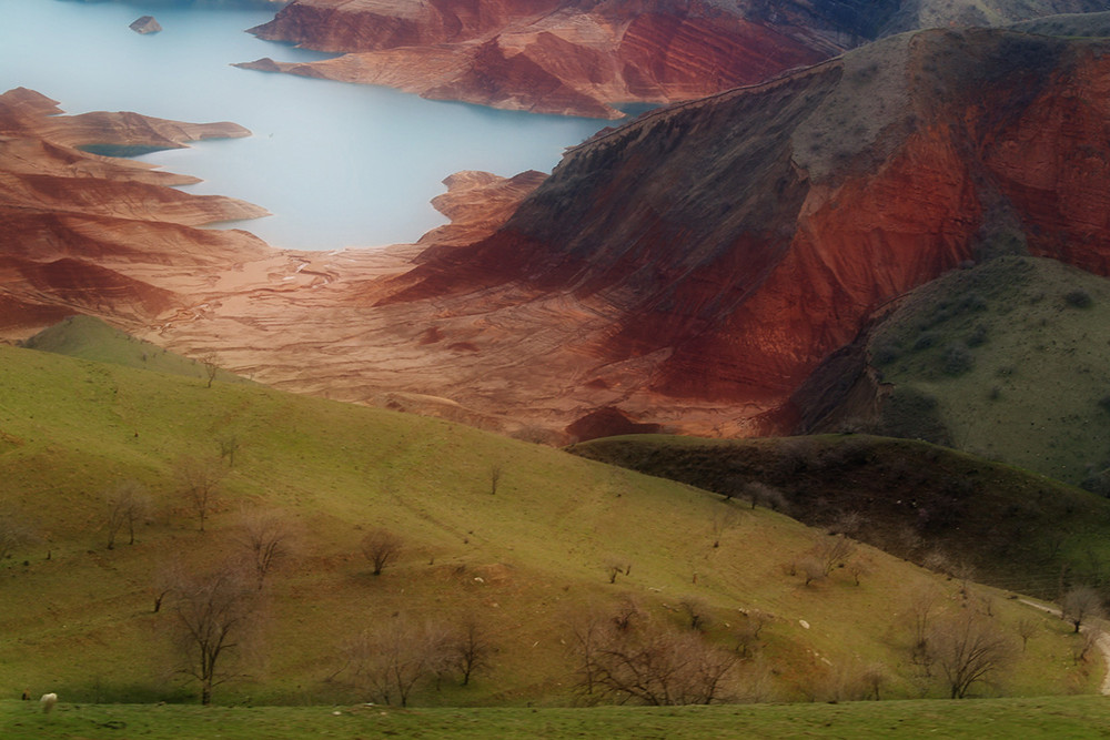 Фотографія Союз Земли и Марса / Tom Vert / photographers.ua