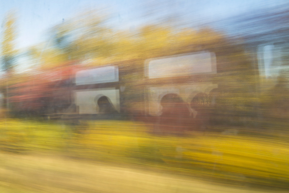 Фотографія Калиновий train / Tom Vert / photographers.ua