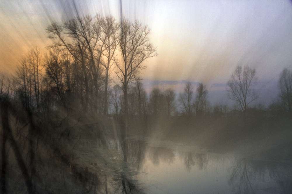 Фотографія Сновидіння на болоті / Tom Vert / photographers.ua