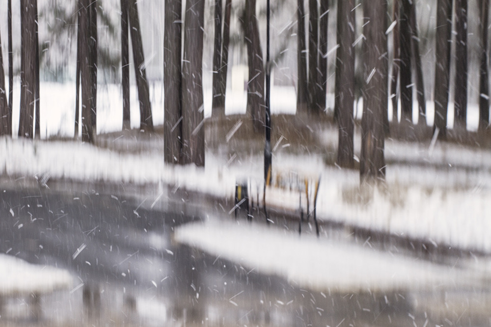 Фотографія Моя весенняя зима :(:(:( №3) / Tom Vert / photographers.ua
