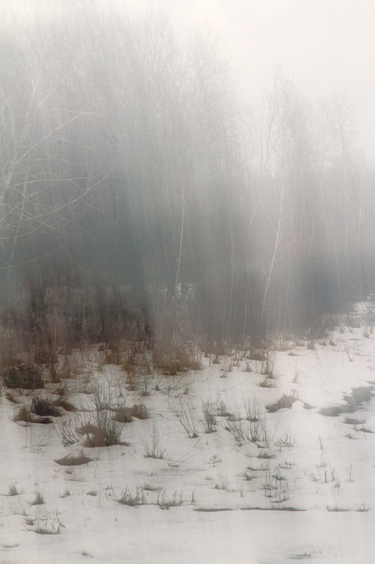 Фотографія Моя весенняя зима :( / Tom Vert / photographers.ua