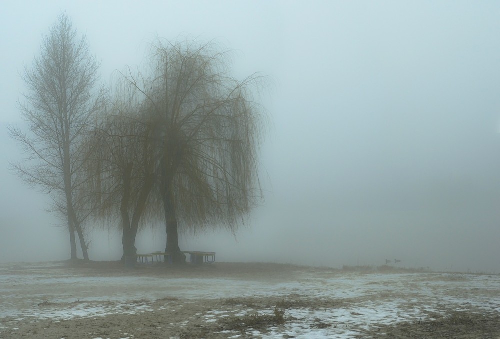 Фотографія Туман / Иванников Денис / photographers.ua