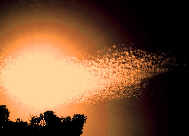 Фотографія Комета по имени "Солнце" / Мальвина / photographers.ua