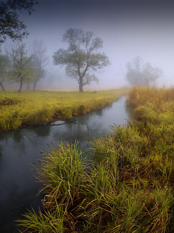 Фотографія В долине туманной реки / Виталий Башкатов / photographers.ua