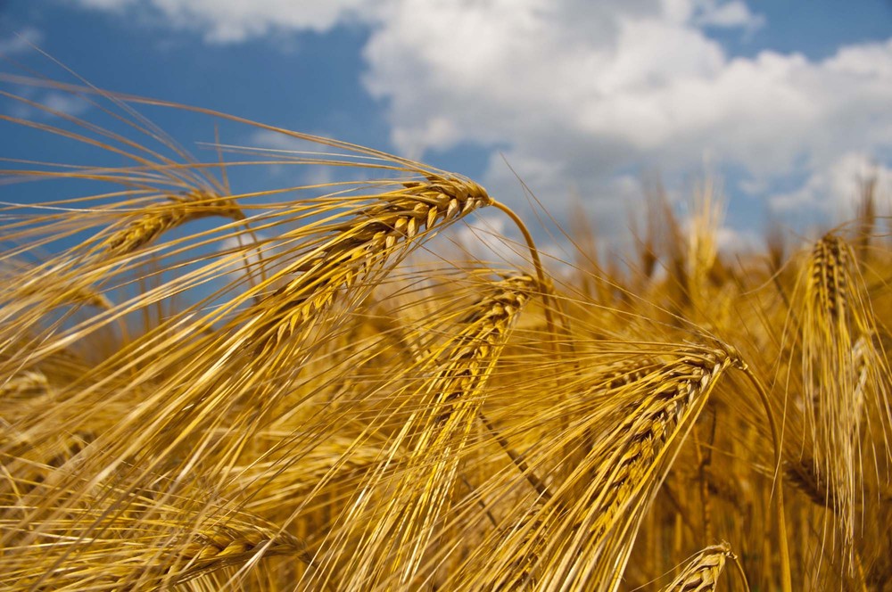 Фотографія Пейзаж / Друзенко Олег / photographers.ua