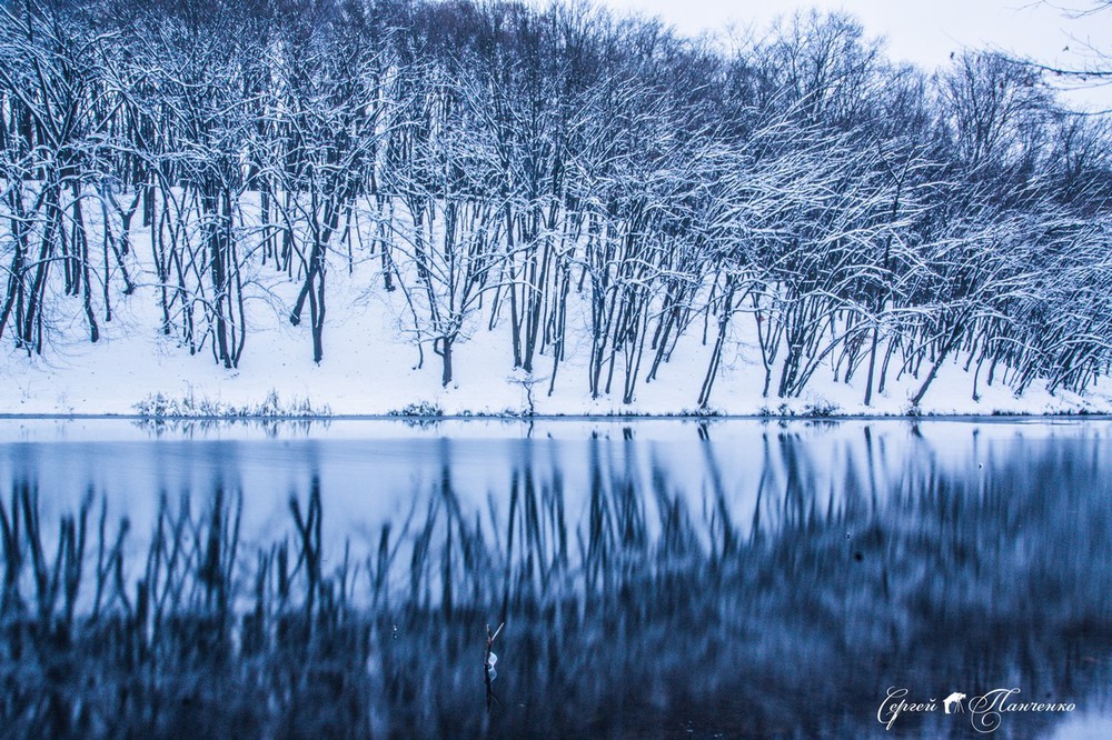Фотографія First snow / Sergei Panchenko / photographers.ua
