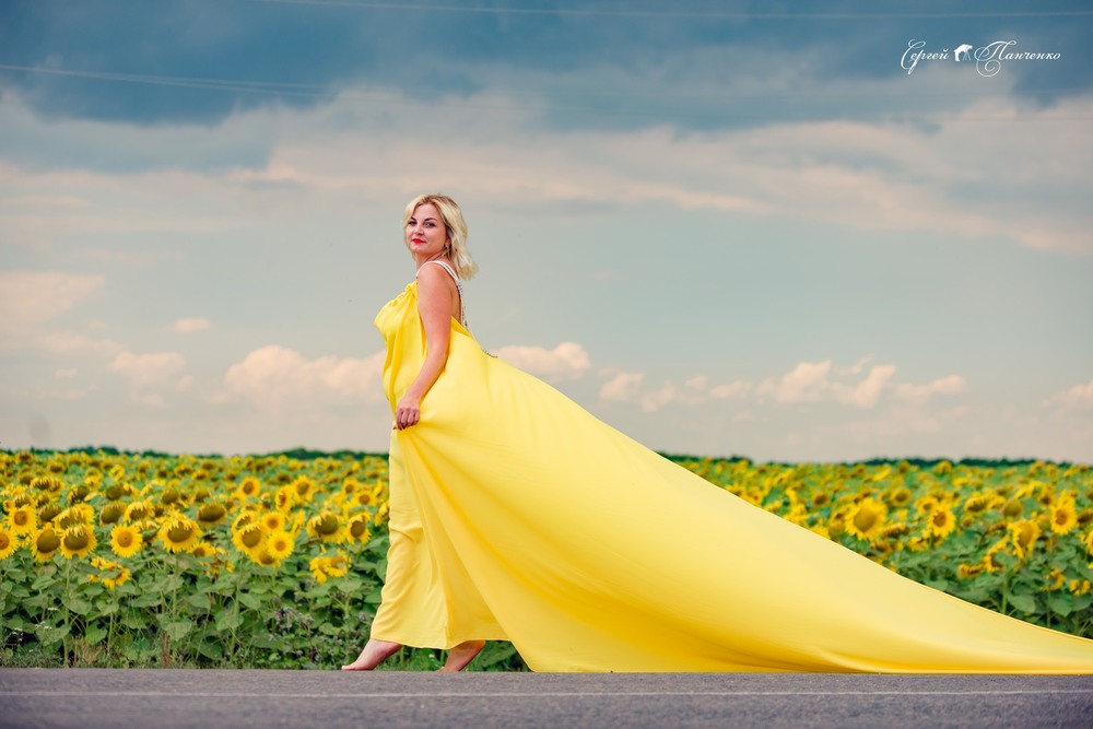 Фотографія Sunflowers / Sergei Panchenko / photographers.ua