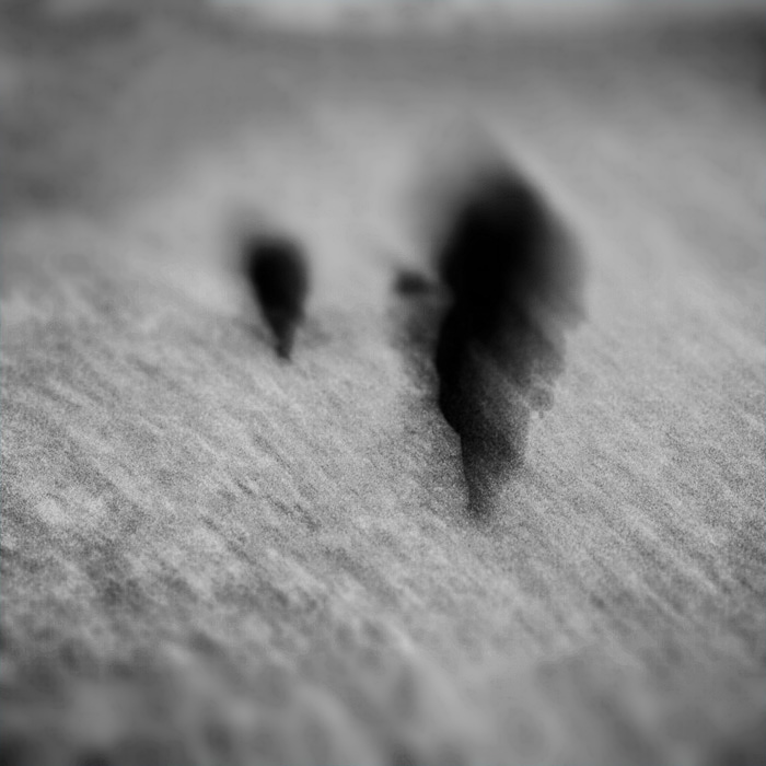 Фотографія razor blade / ash / photographers.ua