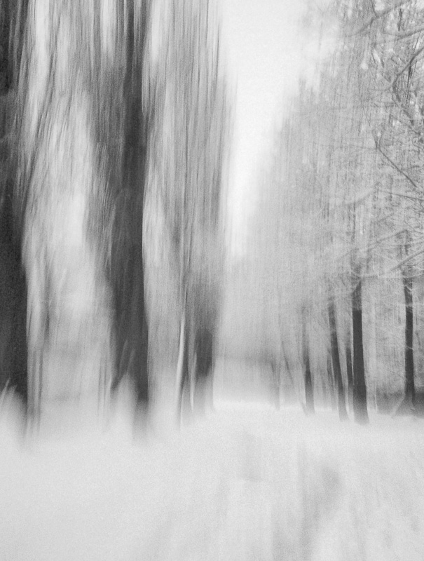 Фотографія зима / ash / photographers.ua