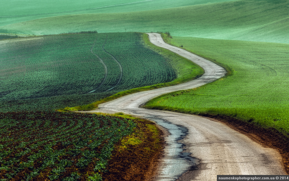 Фотографія Южная Моравия. Дорога. / Александр Науменко / photographers.ua