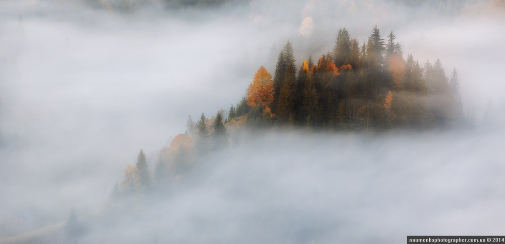 Фотографія Осенние склоны в тумане. / Александр Науменко / photographers.ua
