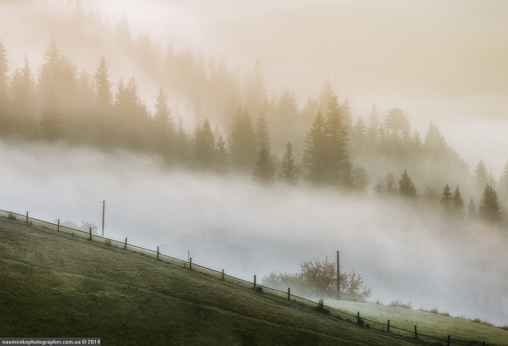 Фотографія Туманные склоны. / Александр Науменко / photographers.ua