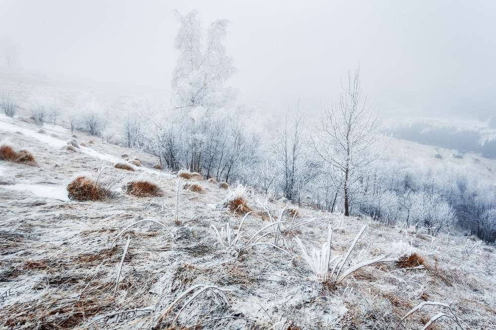 Фотографія Карпаты. Дземброня. Из серии Морозное утро / Александр Науменко / photographers.ua