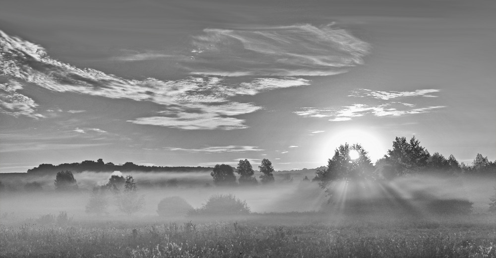 Фотографія В ранковому тумані / Олександр Фесенко / photographers.ua