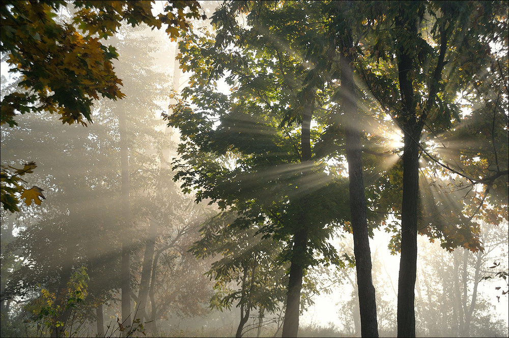 Фотографія **** / Усенко Юрий / photographers.ua