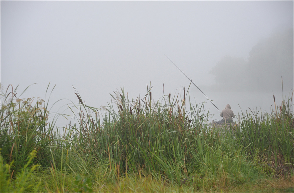 Фотографія *ТТР* / Усенко Юрий / photographers.ua