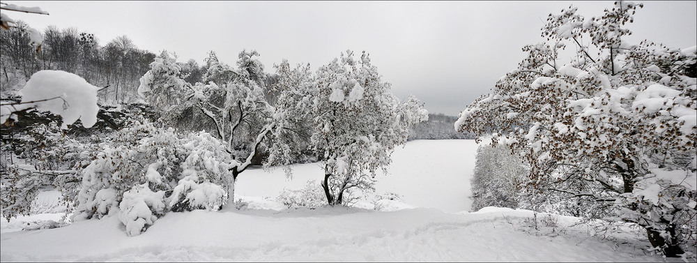 Фотографія *СГ..* / Усенко Юрий / photographers.ua