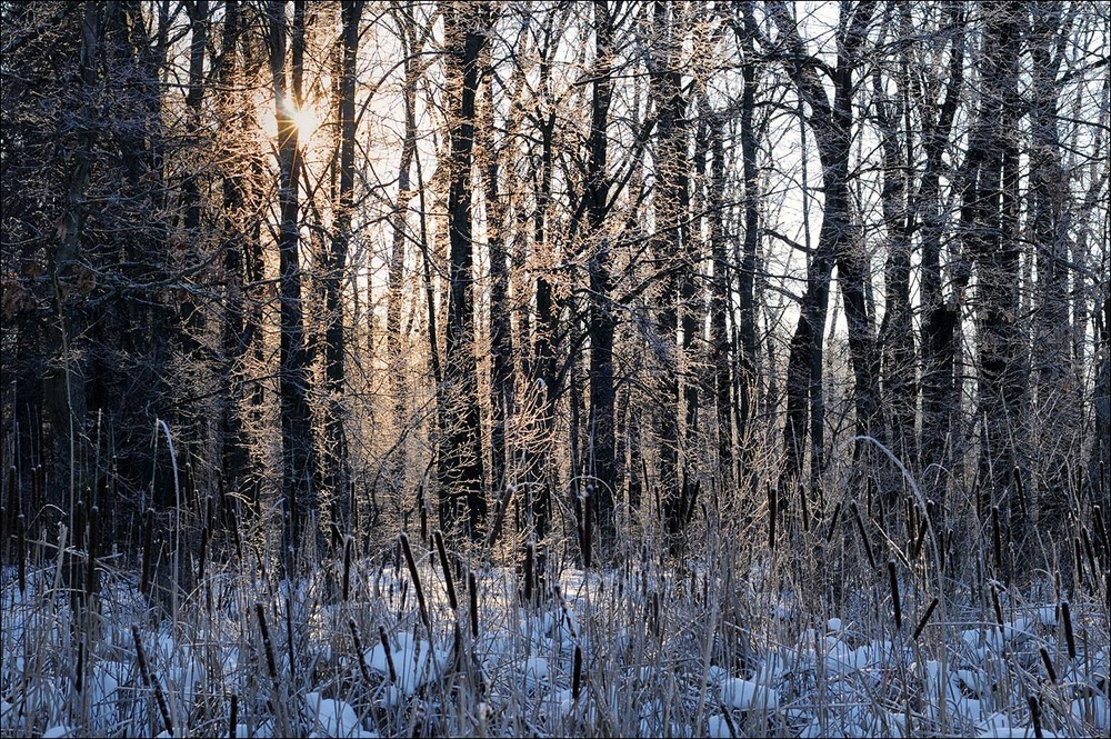 Фотографія *МР* / Усенко Юрий / photographers.ua