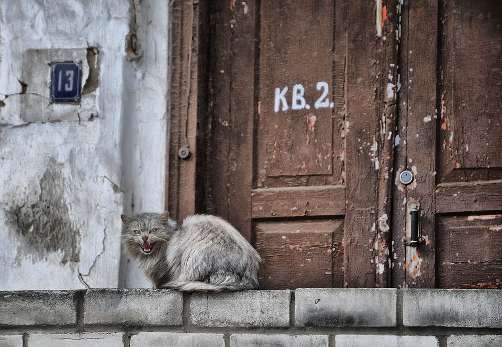 Фотографія 13 / Усенко Юрий / photographers.ua