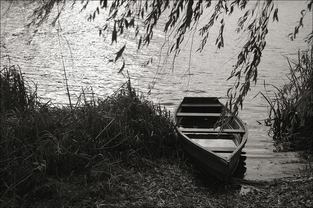 Фотографія *ТОЛ* / Усенко Юрий / photographers.ua