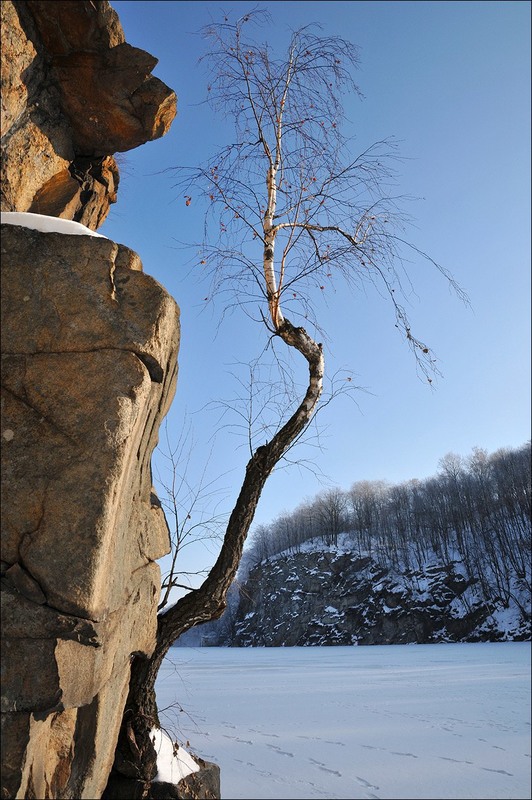 Фотографія и на камнях растут деревья... / Усенко Юрий / photographers.ua