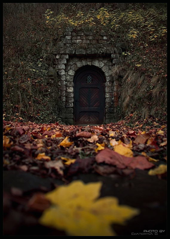 Фотографія Потайная дверь... / Екатерина Б. / photographers.ua