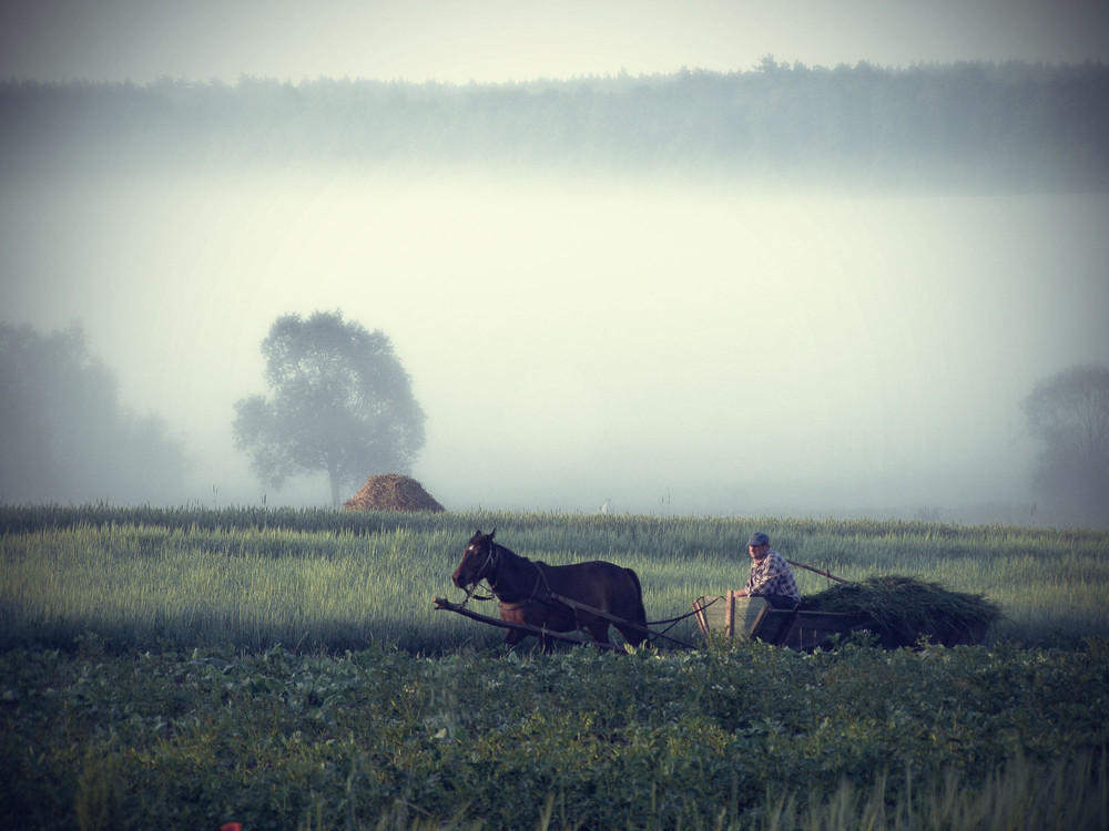 Фотографія Из тумана... / Александр Федорчук / photographers.ua