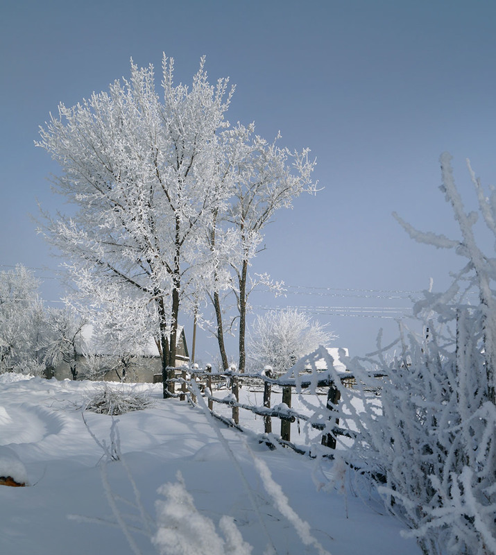 Фотографія Мороз и солнце! / Haта Радковская / photographers.ua