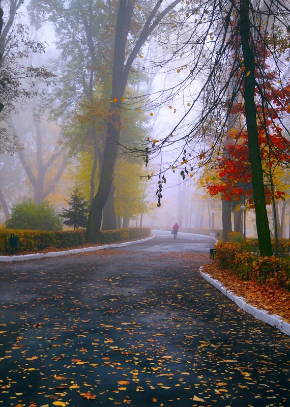 Фотографія Снова в старом парке бродит осень... / Haта Радковская / photographers.ua