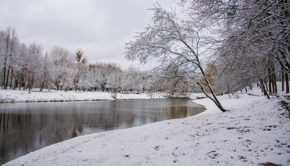 Фотографія фотоетюд про зиму... / Роман / photographers.ua