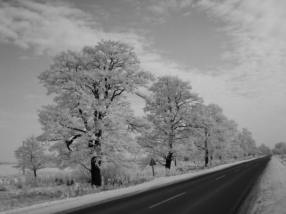 Фотографія зима з архіву.... / Роман / photographers.ua