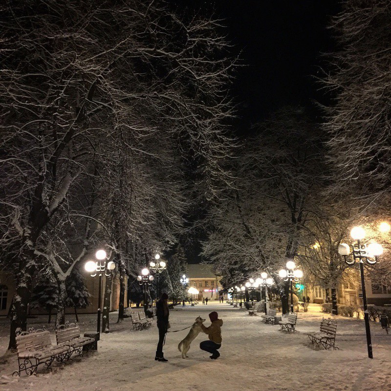 Фотографія Казковий зимовий вечір в Самборі... / Роман / photographers.ua