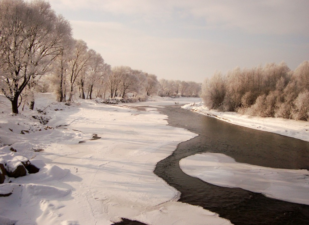 Фотографія зимовий ранок на Дністрі / Роман / photographers.ua