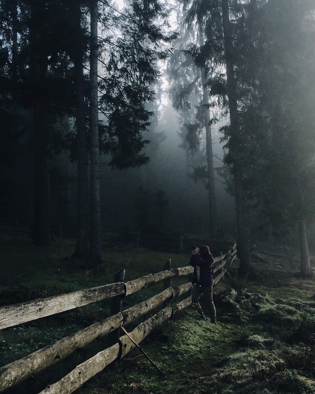Фотографія Фотополювання в тумані... / Роман / photographers.ua