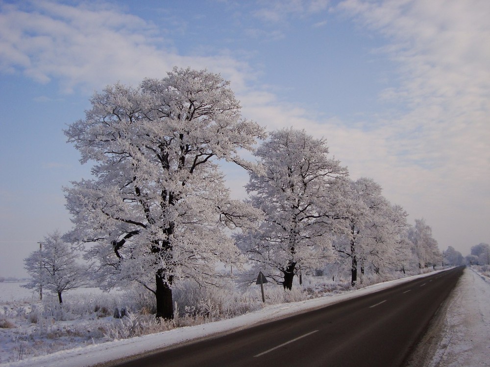 Фотографія трішечки зими... / Роман / photographers.ua