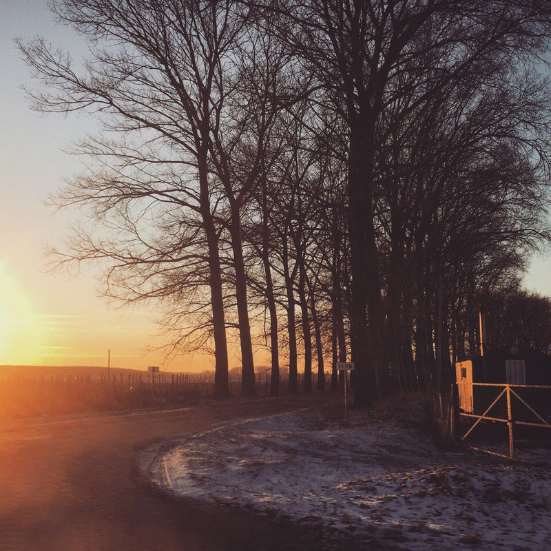 Фотографія Захід сонця на морозі... / Роман / photographers.ua