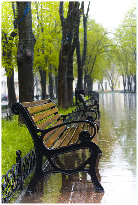 Фотографія Каждый сам решает - одиночество или свобода!!! / VelYur / photographers.ua